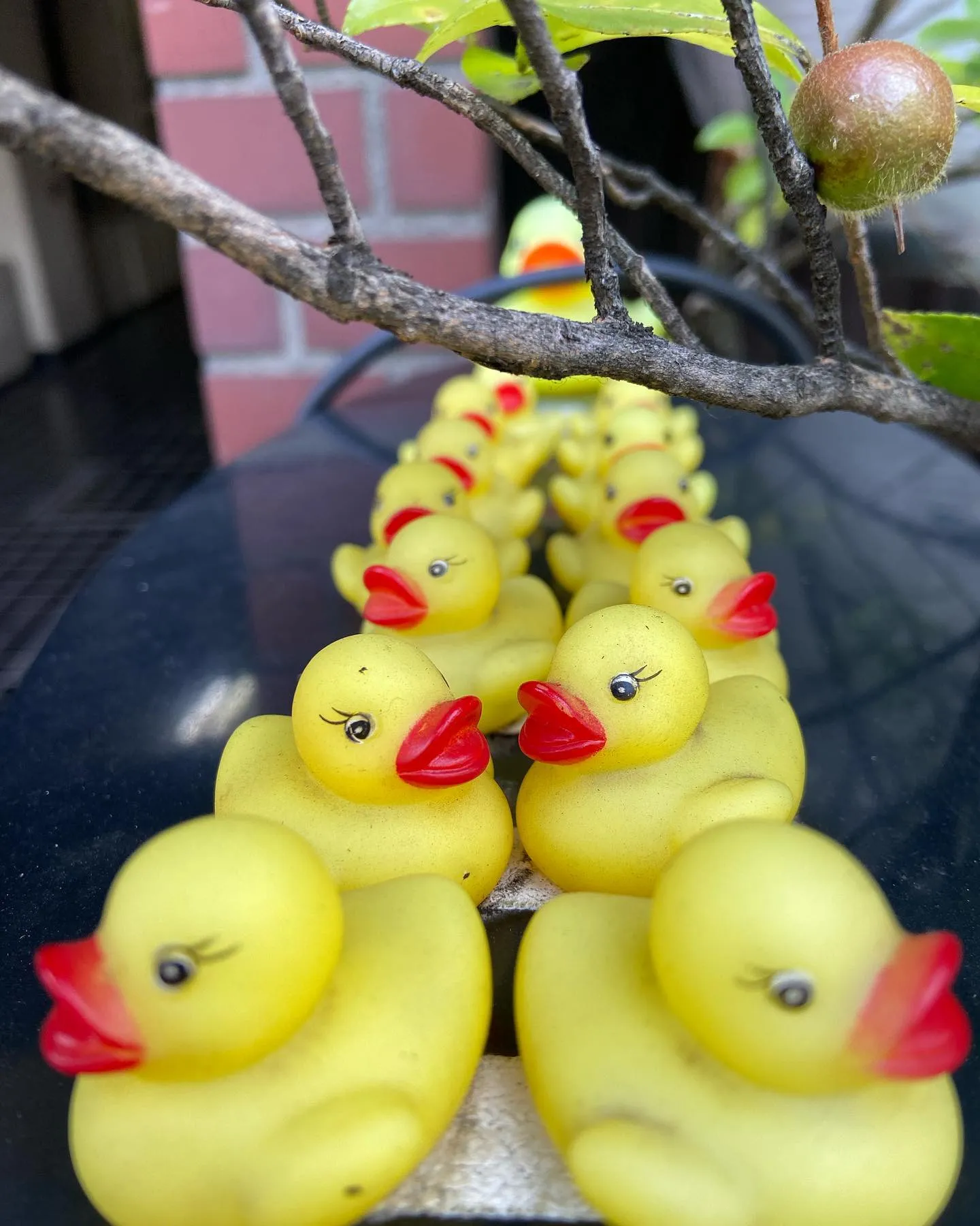 本日バーズオープンしてます🤗