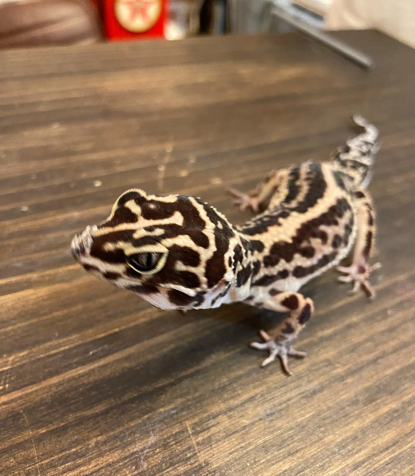 本日２０時からオープンです🤗