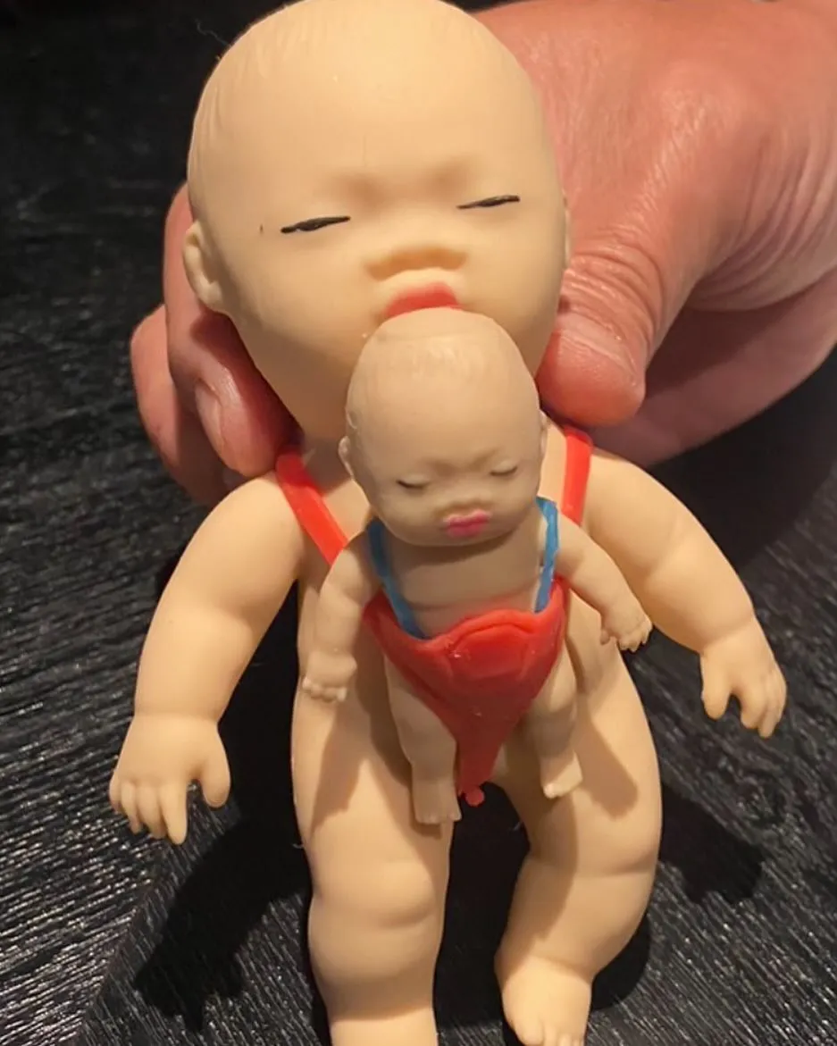 2023年　本日バーズ最終日