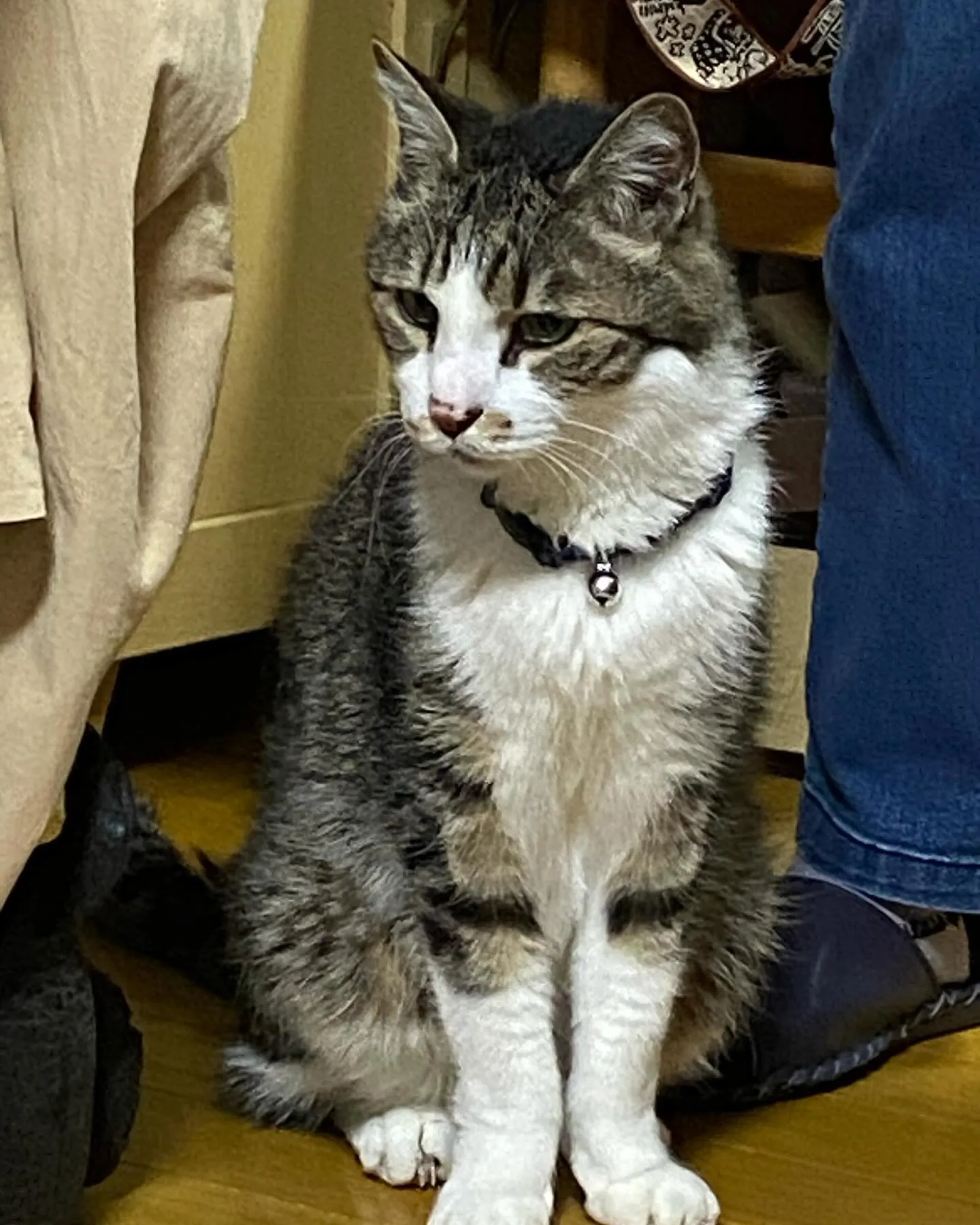 ５月になりました🍀