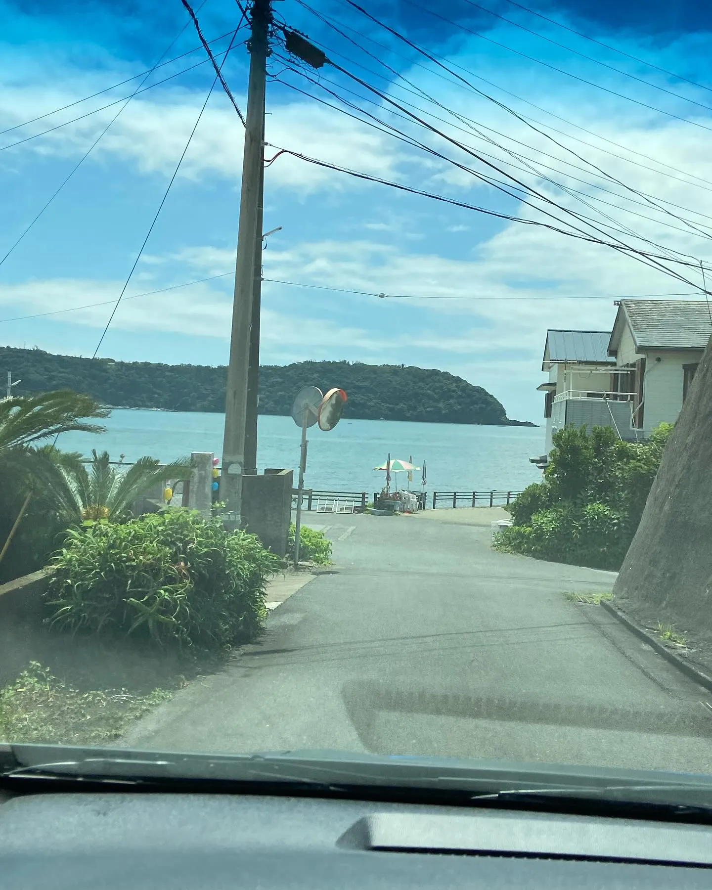 毎年恒例の海ツアー