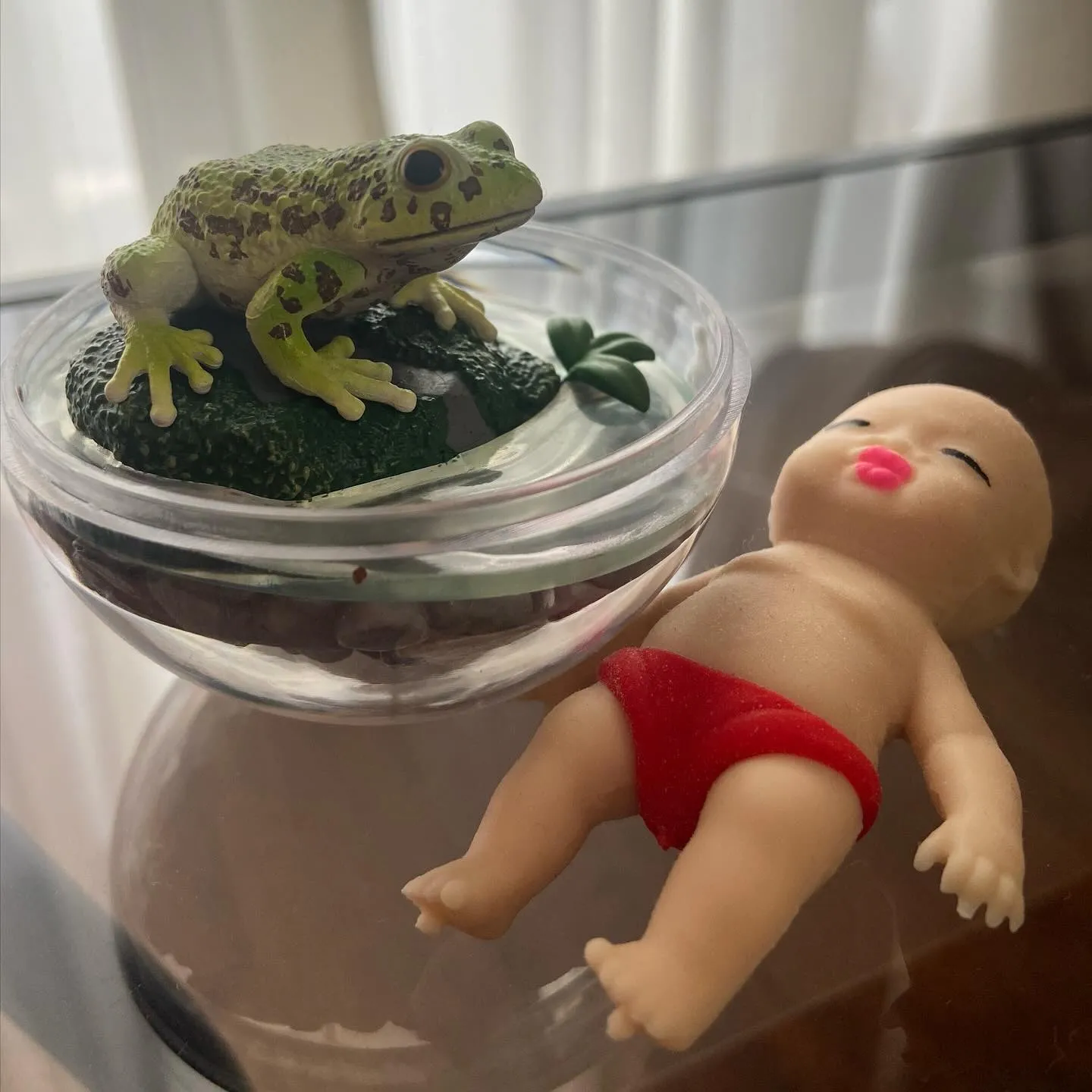 本日13日(火)お休みさせて頂きます💦