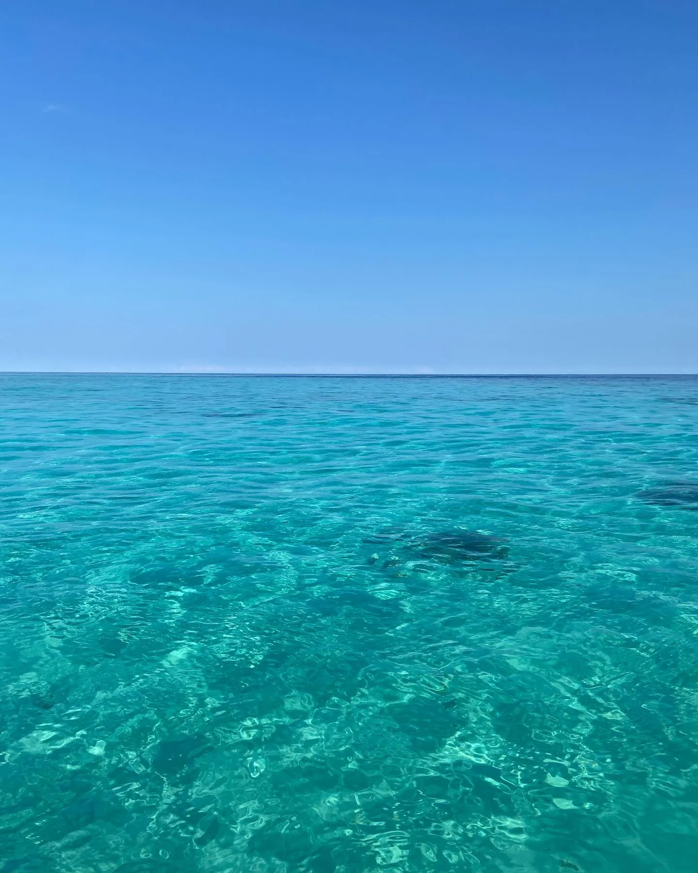 本日５日(木)より通常通り営業しまーす☆