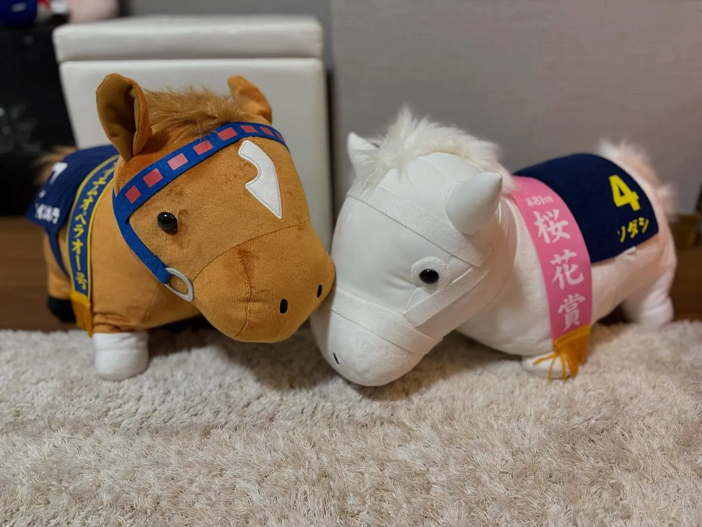 本日11日(火)通常通り営業です🤗