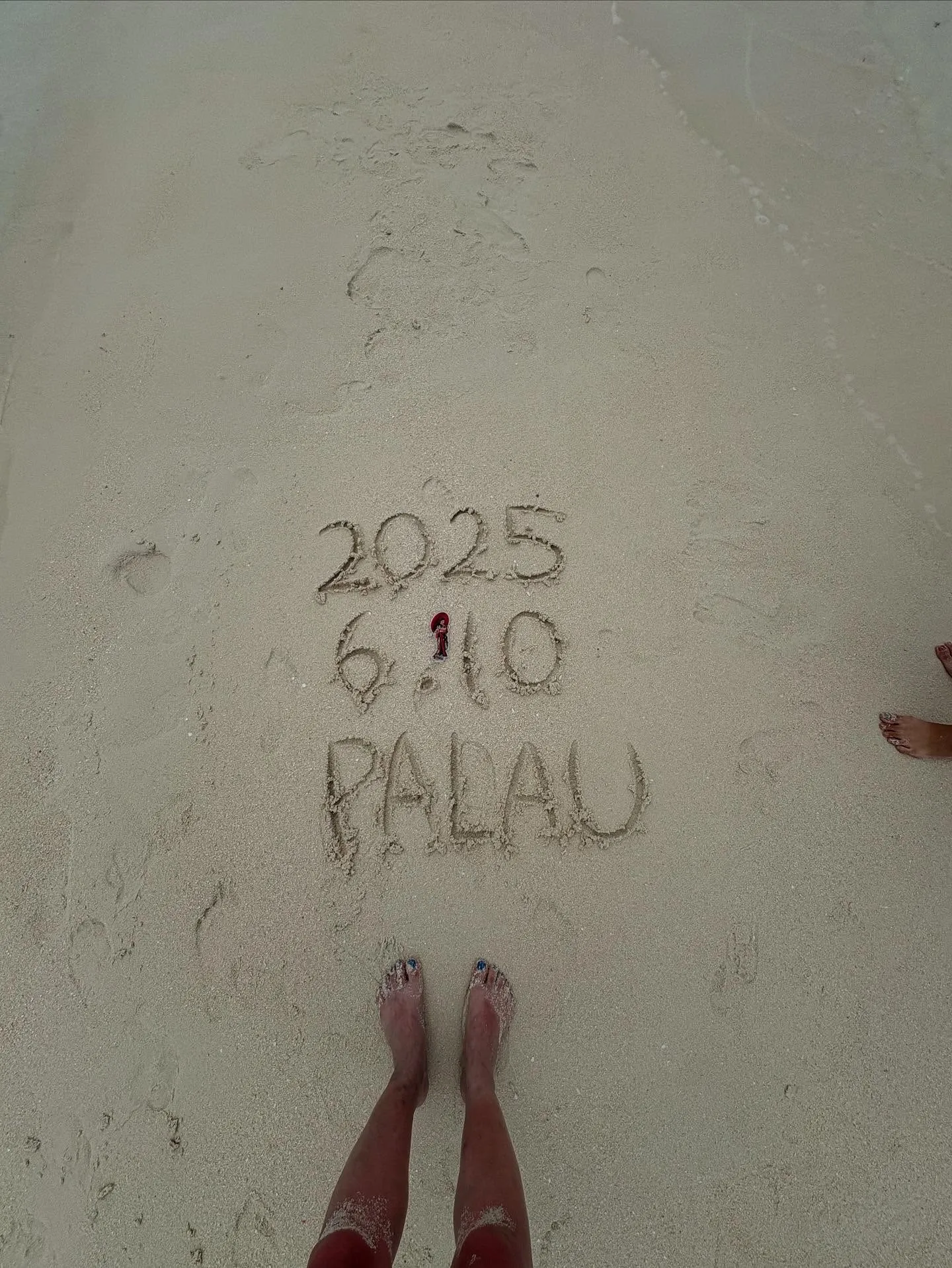 本日バーズほぼ通常通り営業予定🤗