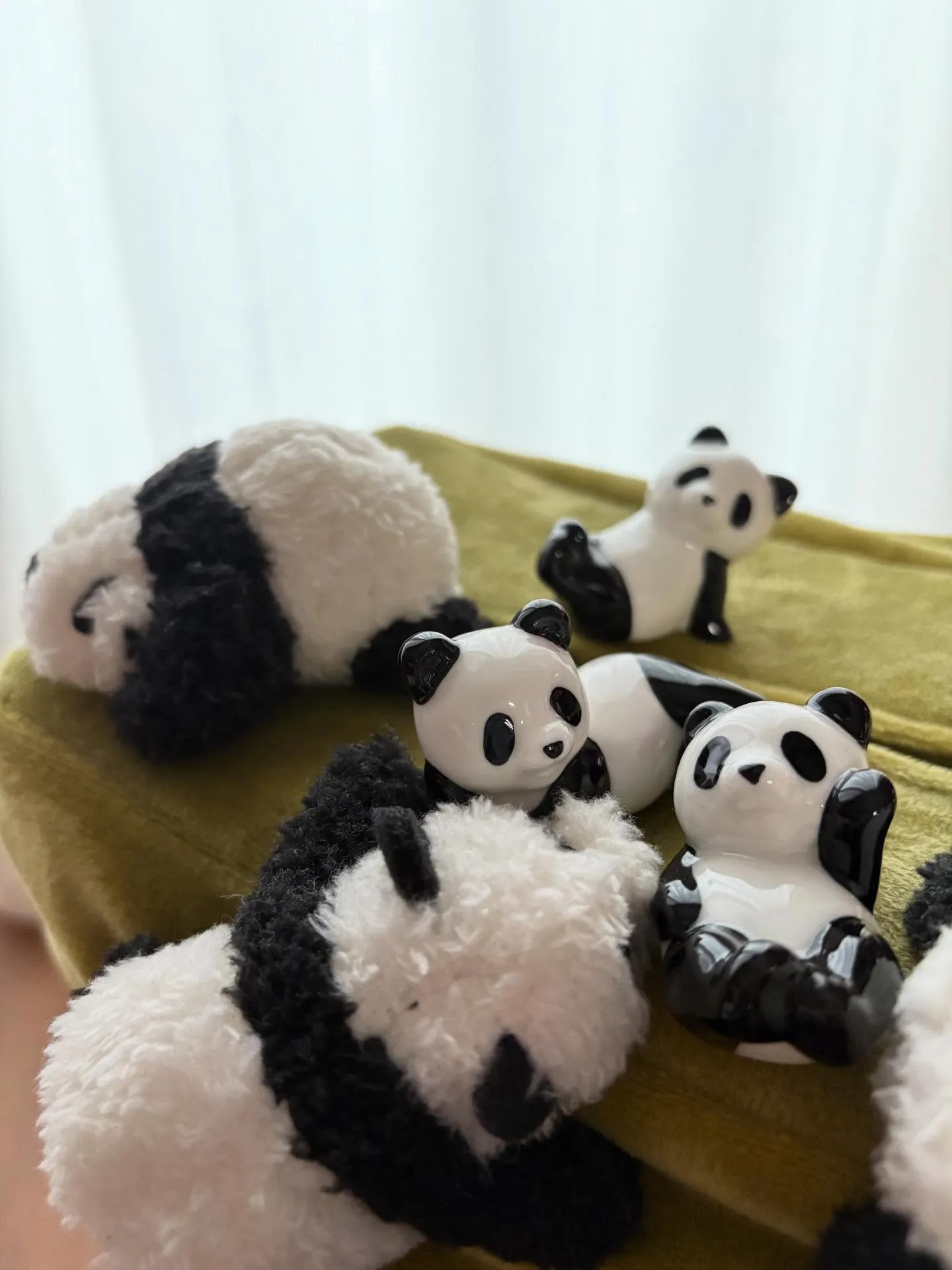 バーズ開いてまーす🤗