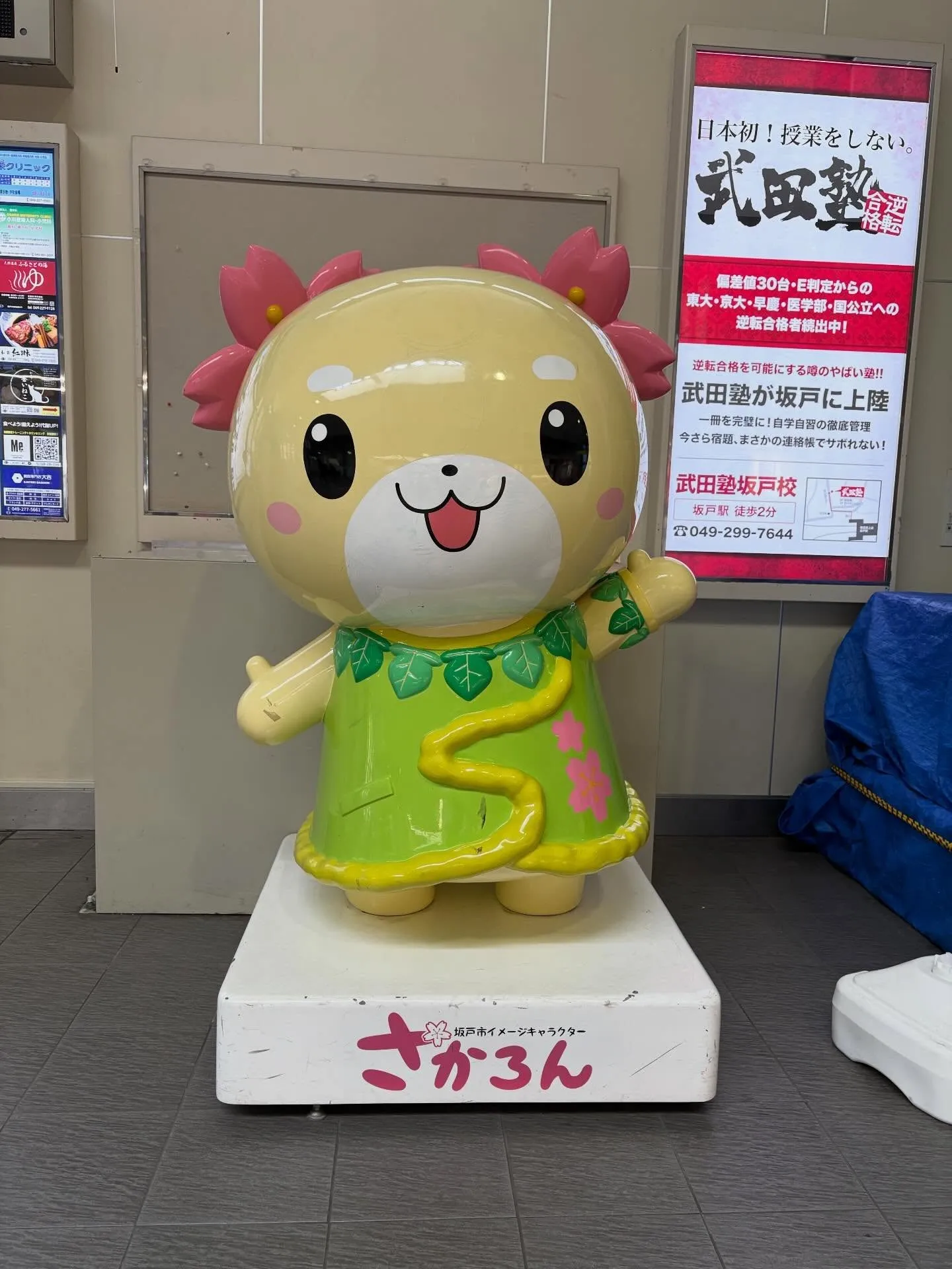 本日6日(水)バーズお休みさせていただきます🙇♀️