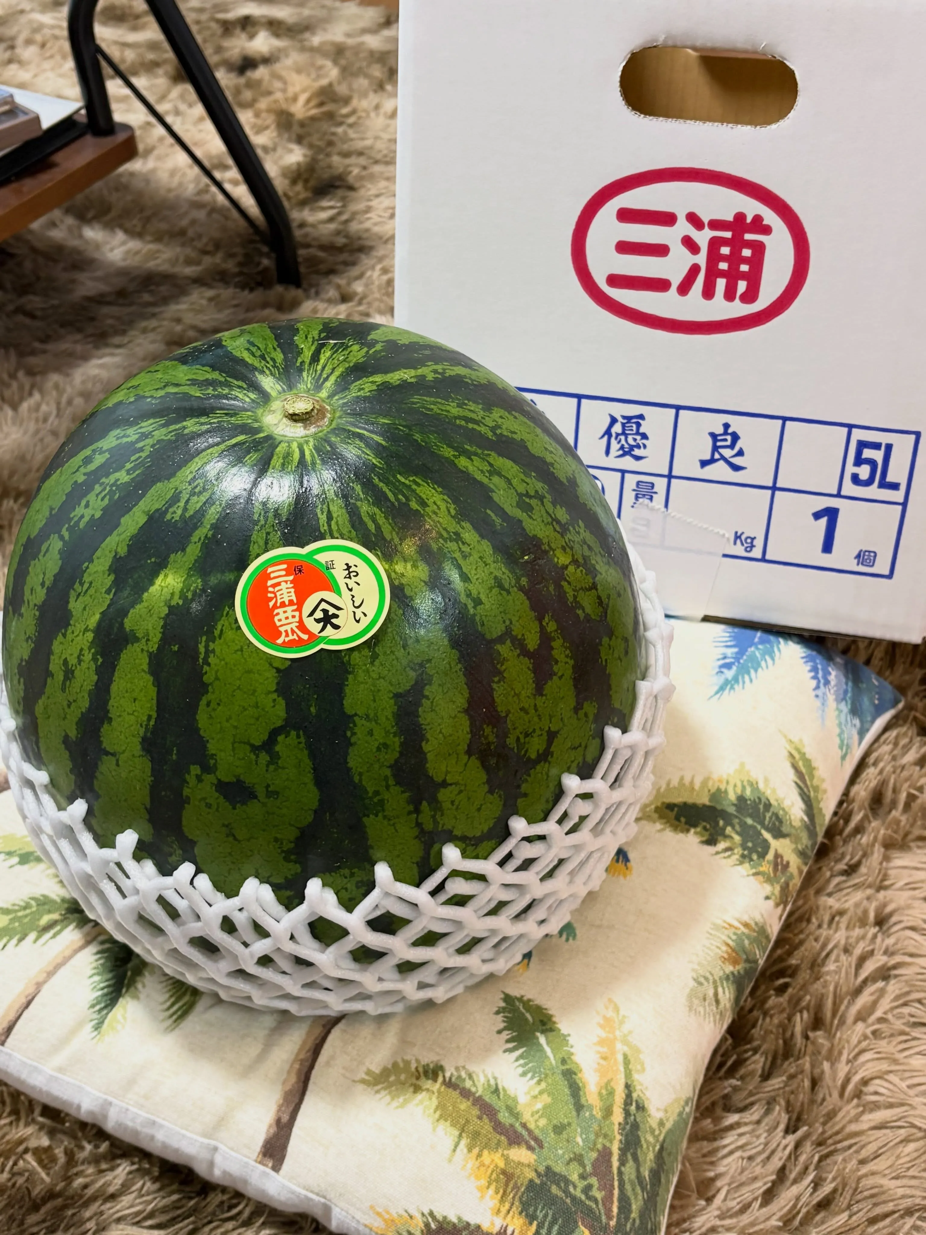 本日７月１３日(月)バーズお休み😴