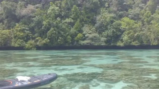 本日４日(金)バーズ20時オープンです🤗